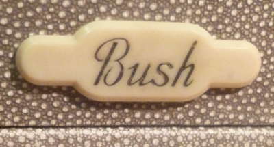 bush logo